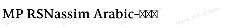 MP RSNassim Arabic字体转换 MP RSNassim Arabic字体转换